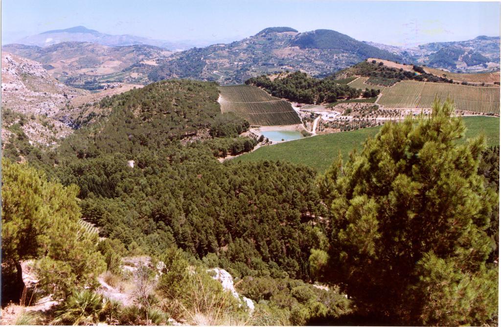 Agriturismo Tenute Pispisa Segesta Calatafimi Exterior photo